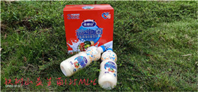 铁树山1.25L乳酸菌
