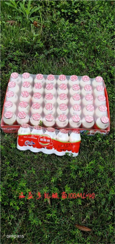 100ml乳酸菌40瓶装