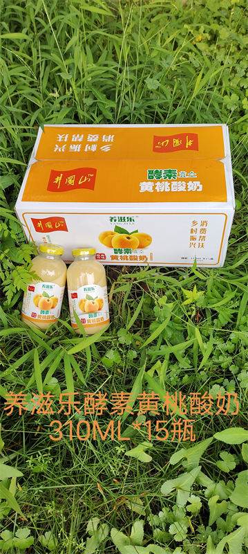 养滋乐酵素黄桃酸奶