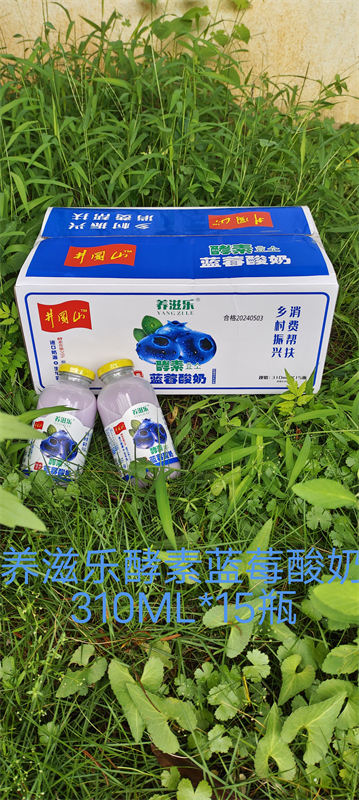 养滋乐酵素蓝莓酸奶