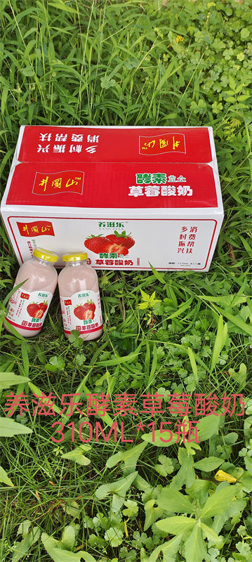 养滋乐酵素草莓酸奶