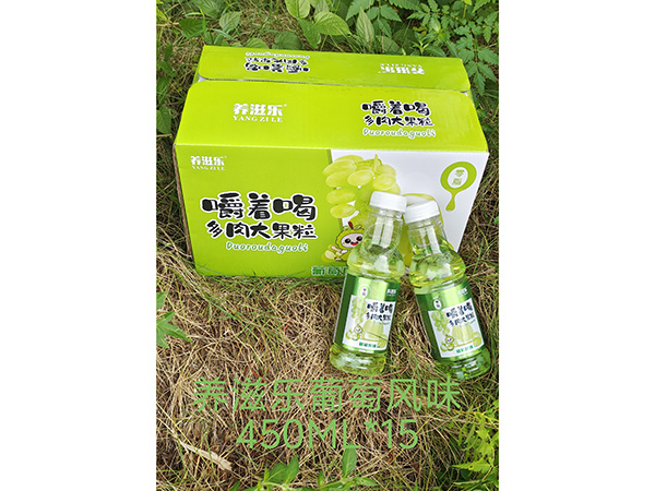 养滋乐葡萄风味 450ML*15