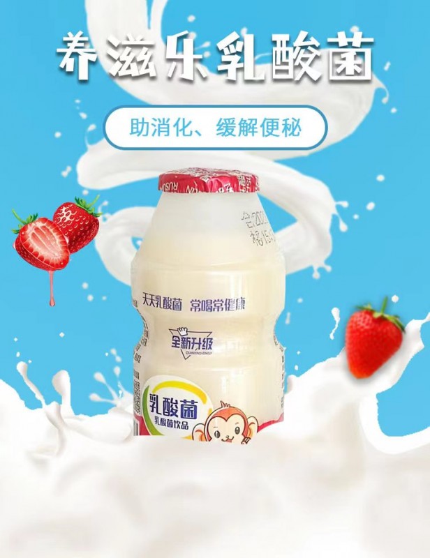 100ML*20--乳酸菌饮品